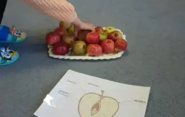 Światowy Dzień Jabłka w przedszkolu 24