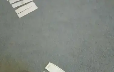 Dzień Dyni 6