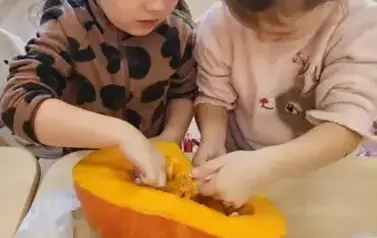 Dzień Dyni 12