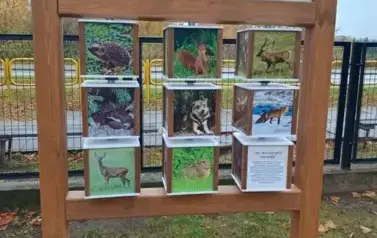 EkoEduPark PSE &ndash; nowe miejsce edukacji ekologicznej przy SP2 w Pasłęku 11