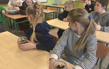Małe ekosystemy, wielka lekcja o przyrodzie 9