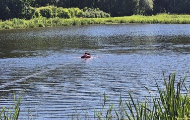 Bezpieczeństwo nad wodą &ndash; cenna lekcja od strażak&oacute;w 19