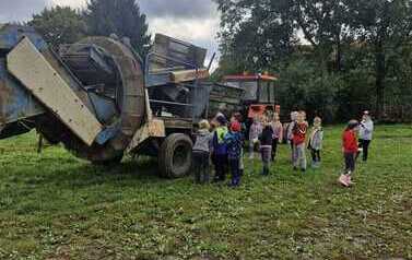 Od pola do stołu &ndash; wykopki u Państwa Rokita 51