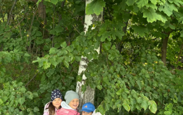 Dzień Drzewa &ndash; 10 października 5