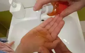 PrzedszkolaBezOwsik&oacute;w 13
