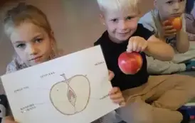 Światowy Dzień Jabłka w przedszkolu 2