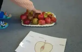 Światowy Dzień Jabłka w przedszkolu 24