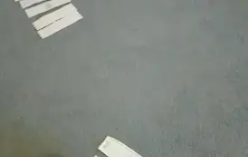 Dzień Dyni 6
