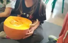 Dzień Dyni 10