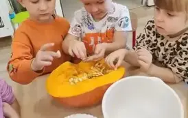 Dzień Dyni 14