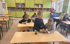 Małe ekosystemy, wielka lekcja o przyrodzie 4
