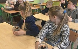 Małe ekosystemy, wielka lekcja o przyrodzie 9