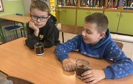 Małe ekosystemy, wielka lekcja o przyrodzie 11