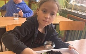 Małe ekosystemy, wielka lekcja o przyrodzie 14