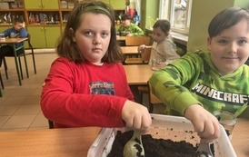 Małe ekosystemy, wielka lekcja o przyrodzie 15