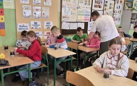 Małe ekosystemy, wielka lekcja o przyrodzie 28