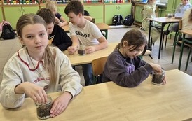Małe ekosystemy, wielka lekcja o przyrodzie 35