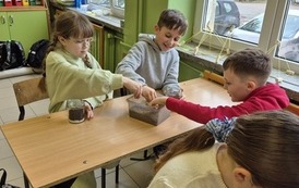 Małe ekosystemy, wielka lekcja o przyrodzie 36