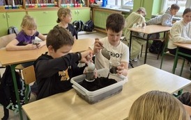 Małe ekosystemy, wielka lekcja o przyrodzie 39
