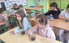 Małe ekosystemy, wielka lekcja o przyrodzie 43