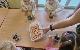 WARSZTATY EKOLOGICZNE w przedszkolu 43
