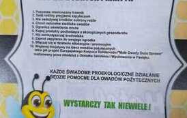 Warsztaty edukacyjne &bdquo;Pszczoły i ekologia&rdquo; w klasie 1b 14