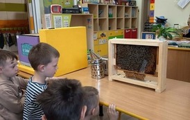  Warsztaty pszczelarskie w naszym przedszkolu 10