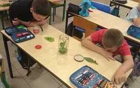 Edukacja przyrodnicza w praktyce 11