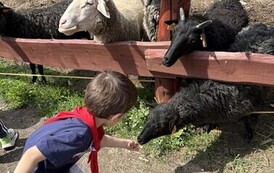 Wycieczka &bdquo;Biedroneczek&rdquo; do Gospodarstwa Agroturystycznego  Ekofarma &bdquo;Vitalis&rdquo; 32