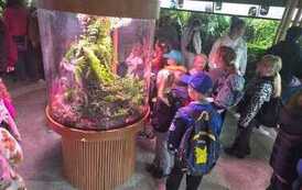 Wycieczka do Akwarium Gdyńskiego 32