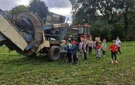 Od pola do stołu &ndash; wykopki u Państwa Rokita 69
