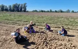 Dzień Pieczonego Ziemniaka  9
