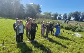 Dzień Pieczonego Ziemniaka  11