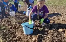 Dzień Pieczonego Ziemniaka  16