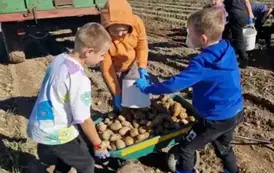 Dzień Pieczonego Ziemniaka  17