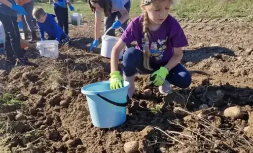 Dzień Pieczonego Ziemniaka w klasie 2A
